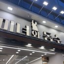 미녀와동수