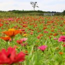 탄금공원 이미지