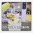 올디스플라워