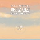 비블 이미지