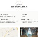 별별꺼리 | 청주 메리다웨딩컨벤션 투어 및 계약 후기｜홀 비교·주차·식대·버진로드까지 정리