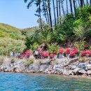 출렁다리 카페 이미지