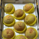 갈골농원 이미지