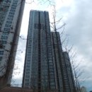 온의 롯데캐슬 스카이클래스 이미지