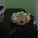 테지움사파리 이미지