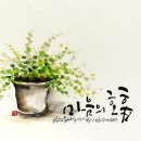 보듬라이프 이미지