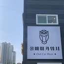 올빼미카워시