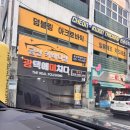 금산-17 | 분당 정자동 금산카바디샵 손세차 만족 강추 후기