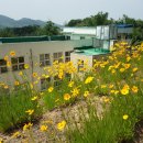 군산대성중학교 이미지