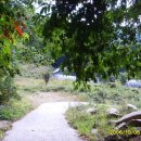 팔공사슴농장 이미지