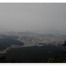 양명자연농장 이미지