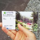 피톤치드 샤워하세요! 경기도 잣향기 푸른숲 솔직방문후기