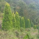 고산자연휴양림 관리사무소 이미지