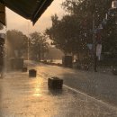 강정마을회관 이미지