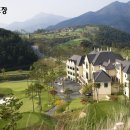 대지사슴농장 이미지