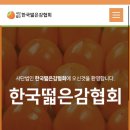 우리나라에 있는 독특한 단체 '한국떫은감협회'와 '한국단감연합회' 이미지