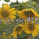 코코실버(주) 이미지