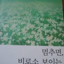 미인(美:인) 이미지
