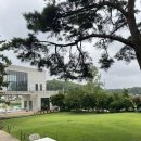 로사약국 이미지