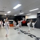 KTIGERS 동탄역관 태권도장 이미지