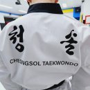 청솔태권도 이미지