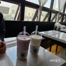 루체인알티스 이미지