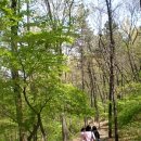 두암중학교 이미지