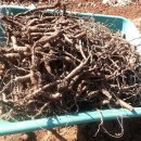 이재구농장 이미지