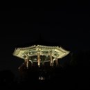 야경코스 이미지