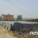 속달 이미지