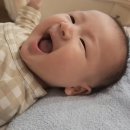 다윤에너지 이미지