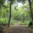 렌트투어 이미지