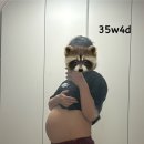 창평농장 | 임신후기일상 임신34주 35주