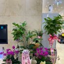 25시스크린골프 네이버블로그