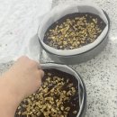 홈베이킹 제빵(주간)-오후 | 굴포천베이킹클래스 비용 부담을 덜어낼 수 있는 맘보아카데미