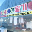 옳하우스 이미지