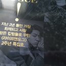 그레잇도그 | 펫팸족을 위한 고품격 펫 매거진 라이프앤도그 후기
