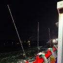 오천항 | 낱마리 외계인납치 후기 [오천항 5물 쭈꾸미 낚시]