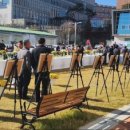 호법 코스모스길 이미지