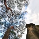 단종 어수정 이미지