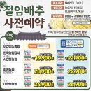 양재할인마트