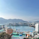 동피랑약국 이미지