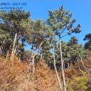 울진군근남면진복보건진료소 이미지