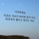 웨일커피 | 포항 n년차 : 오션뷰카페 영일대 환호동 대형카페 [브라운웨일 커피] 내돈내산 후기🫵🏻