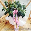 메이븐 오토미션 이미지