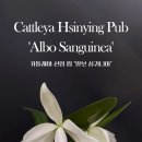 펍25(Pub25) 이미지