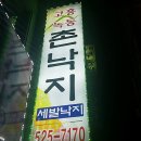 촌낙지