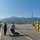 전천후농장 | 하베스트문~농사체질인가봐~ 감수확 하동여행기~