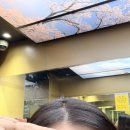 량 | 청주 피부관리 울량동 에스테틱 ‘미라클 피부관리실 울량점’ 리얼 후기