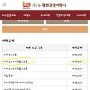 하이원 여행사 | 강원도 정선 ‘하이원’ 스키장 후기